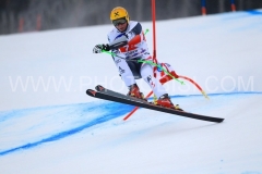 SWC: 2014 - VAL GARDENA(ITA) , SUPER G 20 DIC-2014 -(Photobisi/Luciano Maria Bisi)