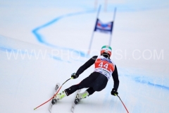 SWC: 2014 - VAL GARDENA(ITA) , SUPER G 20 DIC-2014 -(Photobisi/Luciano Maria Bisi)