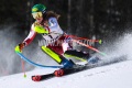 2021 FIS ALPINE WORLD SKI CHAMPIONSHIPS, SL WOMENCortina D'Ampezzo, Veneto, Italy2021-02-20 - SaturdayImage shows LIENSBERGER Katharina (AUT) Gold Medal