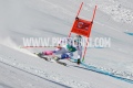 PHOTO-1