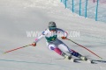 PHOTO-2