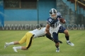 Photo-15