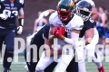 EUROPEAN LEAGUE OF FOOTBALL MILANO SEAMEN vs BARCELONA DRAGONSSaturday 10, June 2023Seamen first Homegame