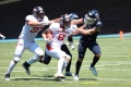 EUROPEAN LEAGUE OF FOOTBALL HELVETIC GUARDS  vs MILANO SEAMENSunday 25, June 2023