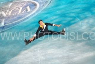 ICE SKATING GRAN GALA' 2008