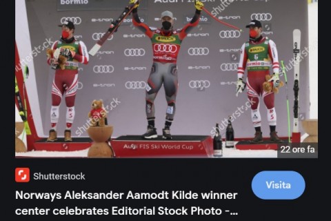 shutterstock3