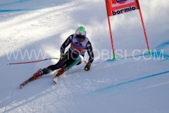 SWC: 2014 - BORMIO(ITA) , DH MEN 29 DIC-2014 - (Photobisi/Luciano Maria Bisi)
