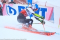 LUC_2511