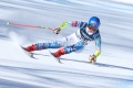 1_Photo-5