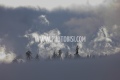 2021 FIS ALPINE WORLD SKI CHAMPIONSHIPS, AC WOMENCortina D'Ampezzo, Veneto, Italy2021-02-08 - MondayImage shows AC Women Cancelled
