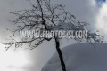 2021 FIS ALPINE WORLD SKI CHAMPIONSHIPS, AC WOMENCortina D'Ampezzo, Veneto, Italy2021-02-08 - MondayImage shows AC Women Cancelled