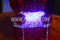 Cortina_2021-1