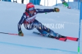 LUC_5426