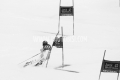 LUC_7617