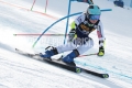 LUC_7900