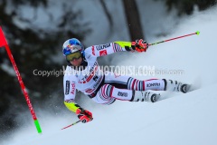 SWC_2021_BADIA_GS