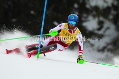 SWC_2021_BADIA_SL