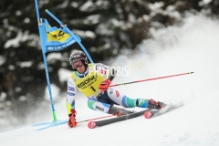 SWC_2023_BADIA_SG2