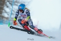 Photo-4