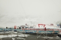 Photo-2