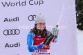 Audi FIS SKI World cup 2024