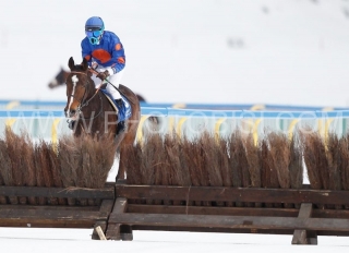 WHITE_TURF_2015_-_FIRST
